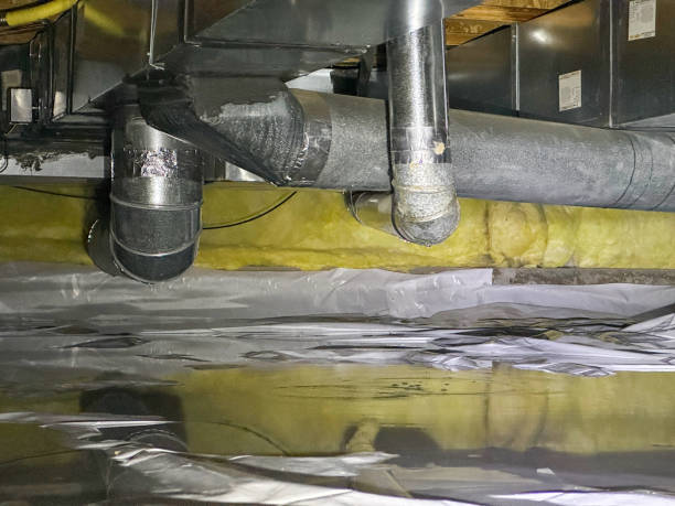  Zimmerman, MN Water damage restoration Pros
